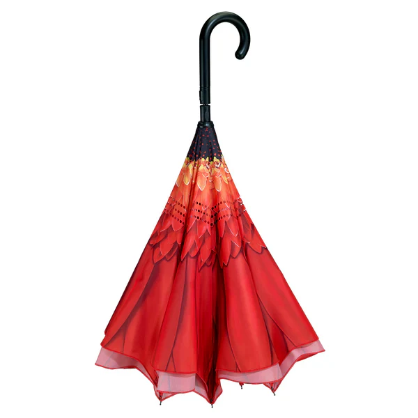 Red Daisy Stick Umbrella RC - Image 3